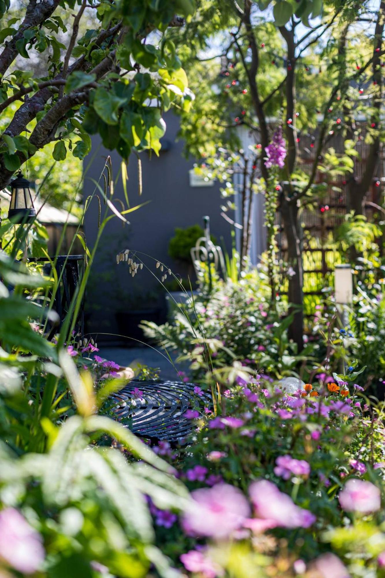 Hideaway Cabin For Two On Edge Of New Forest Hinton  Eksteriør bilde